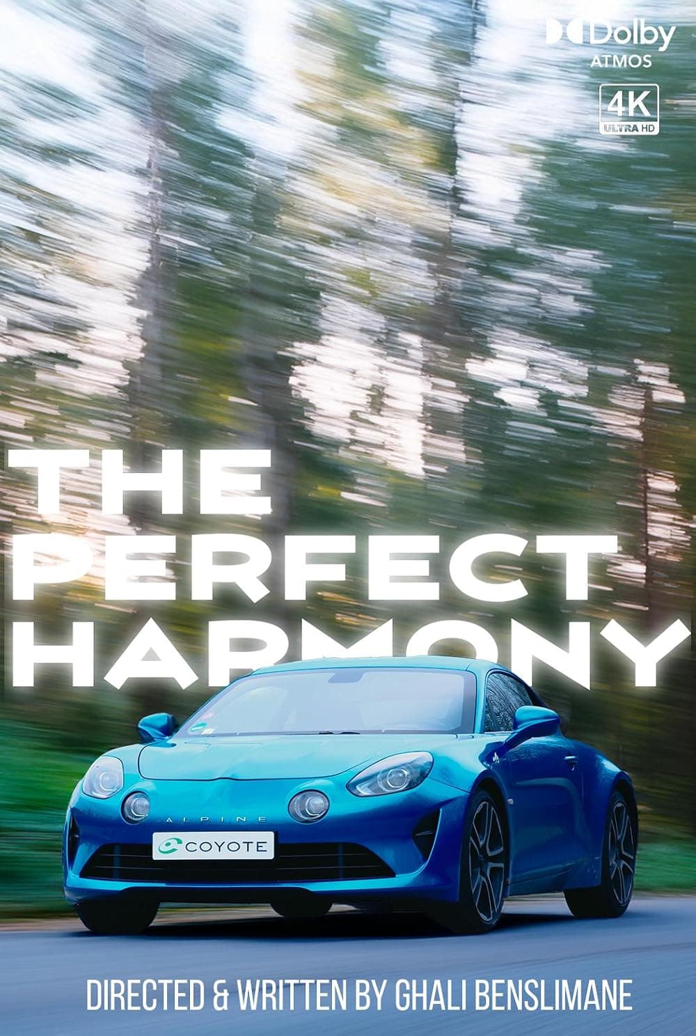 Poster — The Perfect Harmony